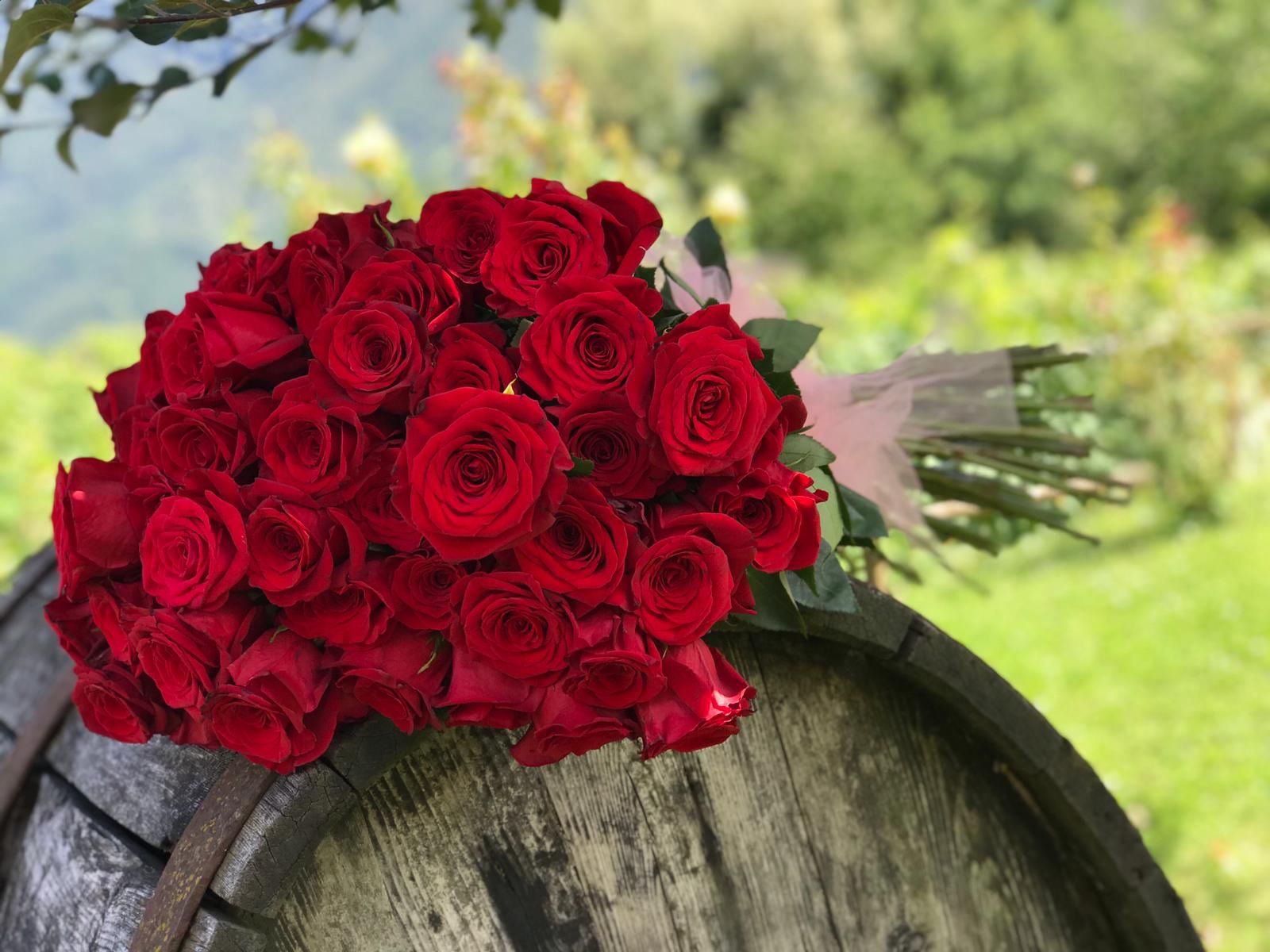 Matrimonio 2-4