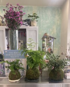 Kokedama