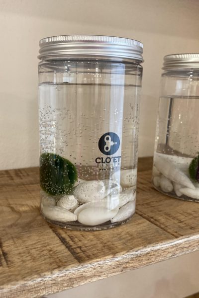 kokedama_2